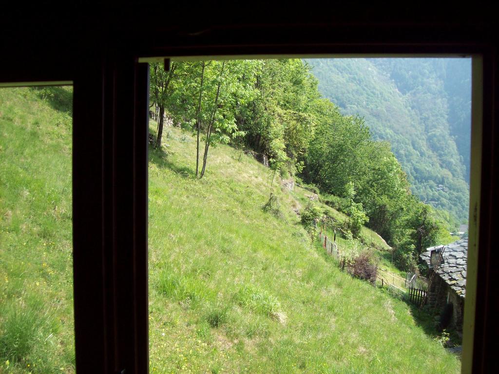 Appartamentino Nel Bosco Сондрио Экстерьер фото